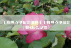 手机热点电脑能用吗（手机热点电脑能用吗怎么设置）