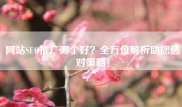 网站SEO推广哪个好？全方位解析助您选对策略！