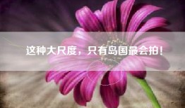 这种大尺度，只有岛国最会拍！