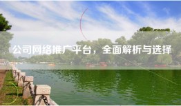 公司网络推广平台，全面解析与选择