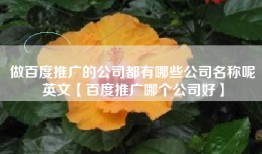 做百度推广的公司都有哪些公司名称呢英文【百度推广哪个公司好】