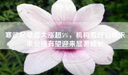 寒武纪早盘大涨超5%，机构看好公司未来业绩有望迎来显著成长