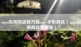 oppo应用商店官方版oppo手机商店「oppo应用商店官方版」