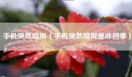 手机突然暗屏（手机突然暗屏是咋回事）