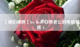 【咱们裸熊】Ice Bear 白熊老公的电脑壁纸 4