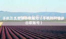 手机怎么登录谷歌账号（手机如何登录谷歌账号）