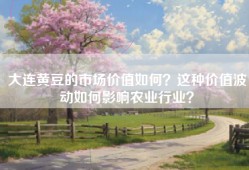 大连黄豆的市场价值如何？这种价值波动如何影响农业行业？