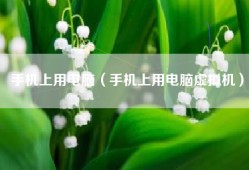 手机上用电脑（手机上用电脑虚拟机）