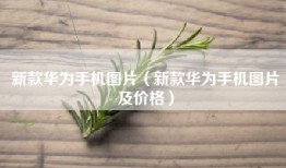 新款华为手机图片（新款华为手机图片及价格）