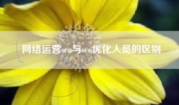 网络运营seo与seo优化人员的区别