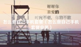 怎么查自己手机套餐（怎么查自己手机套餐业务）
