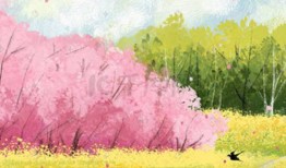 信用卡逾期8天会有什么后果？