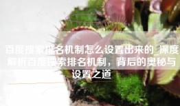 百度搜索排名机制怎么设置出来的_深度解析百度搜索排名机制，背后的奥秘与设置之道