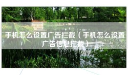 手机怎么设置广告拦截（手机怎么设置广告信息拦截）