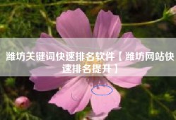 潍坊关键词快速排名软件【潍坊网站快速排名提升】