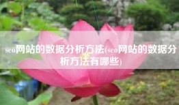 seo网站的数据分析方法(seo网站的数据分析方法有哪些)