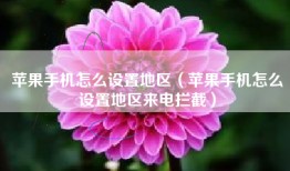 苹果手机怎么设置地区（苹果手机怎么设置地区来电拦截）