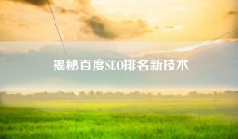 揭秘百度SEO排名新技术