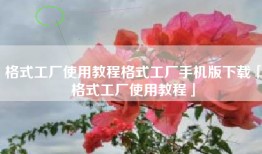 格式工厂使用教程格式工厂手机版下载「格式工厂使用教程」