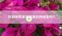 抖音矩阵系统效果好吗安全吗？