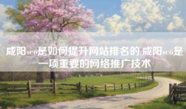 咸阳seo是如何提升网站排名的,咸阳seo是一项重要的网络推广技术