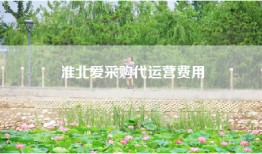 淮北爱采购代运营费用