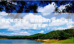 保定易县冰柿：借创新之力 谱乡村振兴 “甜蜜曲”