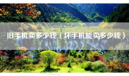 旧手机卖多少钱（坏手机能卖多少钱）