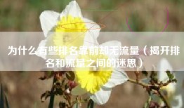 为什么有些排名靠前却无流量（揭开排名和流量之间的迷思）