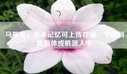 马斯克：未来记忆可上传存储，下载到新躯体或机器人中