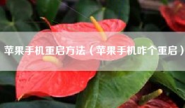 苹果手机重启方法（苹果手机咋个重启）