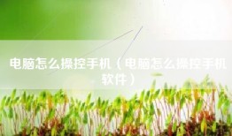 电脑怎么操控手机（电脑怎么操控手机软件）
