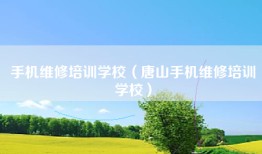 手机维修培训学校（唐山手机维修培训学校）