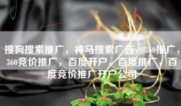 搜狗搜索推广，神马搜索广告，360推广，360竞价推广，百度开户，百度推广，百度竞价推广开户公司