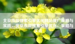 北京市级搜索引擎优化网站推广策略与实践，北京市级搜索引擎优化，策略与实践