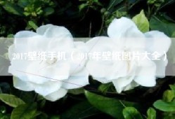 2017壁纸手机（2017年壁纸图片大全）