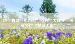 饶平县以“小路灯”点亮“大民生”照亮乡村“发展大道”