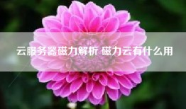 云服务器磁力解析 磁力云有什么用