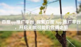 百度app推广平台_探索百度 App 推广平台，开启无限可能的营销之旅