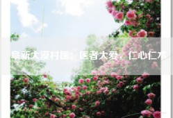 阜新大漠村医：医者大爱，仁心仁术
