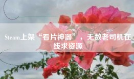 Steam上架“看片神器”，无数老司机在线求资源
