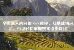 全面深入的白帽 SEO 教程，从基础到进阶，带你轻松掌握搜索引擎优化