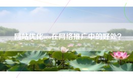 网站优化seo在网络推广中的好处？