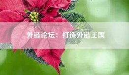 外链论坛：打造外链王国