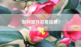 如何提升百度指数？
