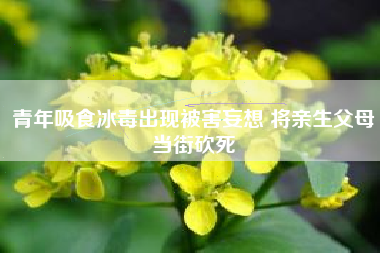 青年吸食出现被害妄想 将亲生父母当街砍死