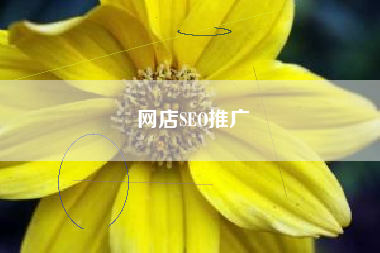 网店SEO推广