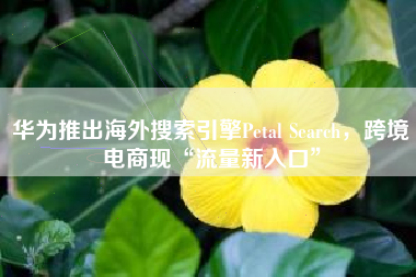 华为推出海外搜索引擎Petal Search，跨境电商现“流量新入口”