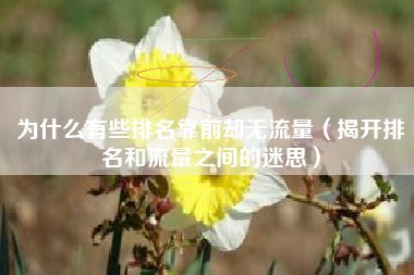 为什么有些排名靠前却无流量（揭开排名和流量之间的迷思）