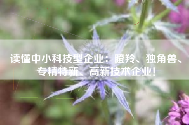 读懂中小科技型企业：瞪羚、独角兽、专精特新、高新技术企业！
